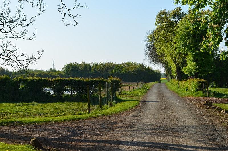 Bed and Breakfast La Ferme Du Bois Quesnoy Saint-Pol-sur-Ternoise Exterior foto